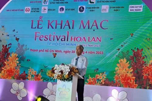 Hàng nghìn sắc hoa tại 'Festival Hoa lan TP Hồ Chí Minh lần thứ hai'