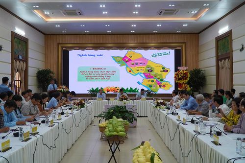 Nâng cao giá trị và phát triển bền vững ngành hàng xoài