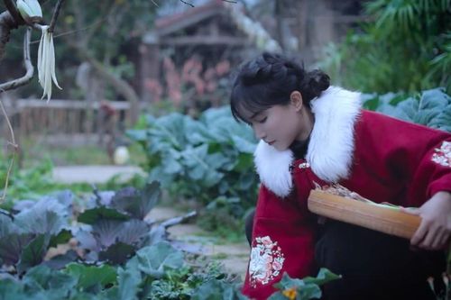 Thắng kiện, 'tiên nữ đồng quê' Lý Tử Thất lộ số tiền thu về