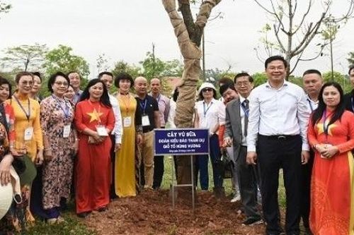 Thứ trưởng Phạm Quang Hiệu: Công tác đại đoàn kết, hòa hợp dân tộc đã đạt nhiều kết quả quan trọng