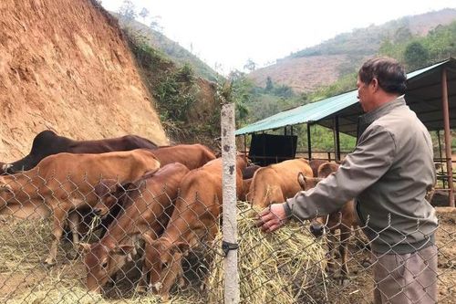 Những 'hạt giống đỏ' nơi bản làng