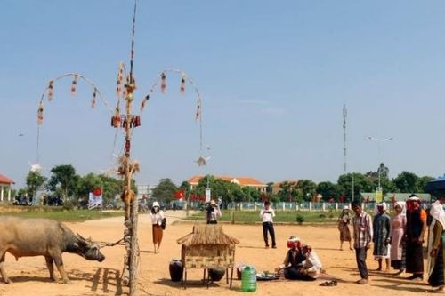 Tái hiện Lễ hội 'Mừng lúa mới' của người Churu ở Lâm Đồng