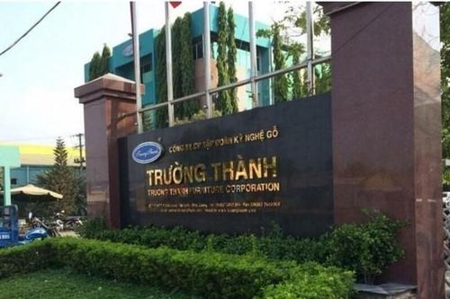 Gỗ Trường Thành (TTF) chấp nhận mất 426 tỷ đồng nợ khó đòi, lớn gần bằng vốn chủ sở hữu