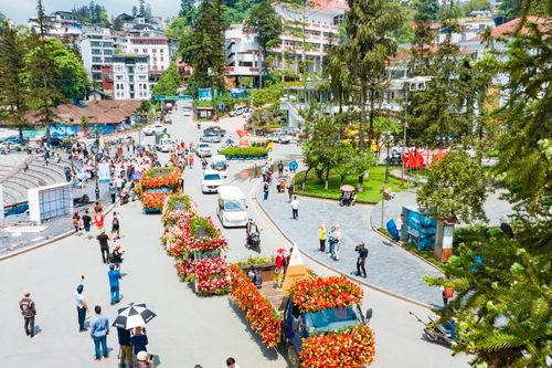 Khai mạc 'Lễ hội Festival hoa hồng năm 2023'
