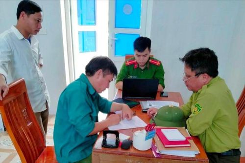 Phạt tiền đối tượng chặt phá rừng trái phép