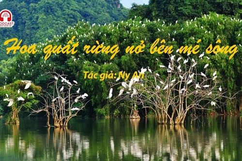 Đọc truyện đêm khuya: Hoa quất rừng nở bên mé sông