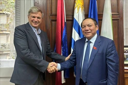 Uruguay sẵn sàng hỗ trợ Việt Nam phát triển bóng đá