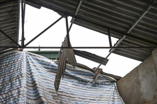 Mưa đá, dông lốc tại Mường Khương (Lào Cai) khiến nhiều ngôi nhà bị hư hỏng