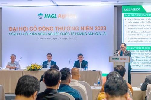 HNG đặt mục tiêu năm 2025 xuất khẩu 6.175 tỷ đồng