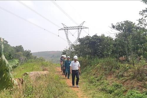 Kiểm tra lưới điện truyền tải trước dịp nghỉ lễ 30/4-1/5