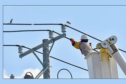 Điện lực miền Nam đảm bảo cấp điện 21 tỉnh phía Nam trong dịp nghỉ lễ