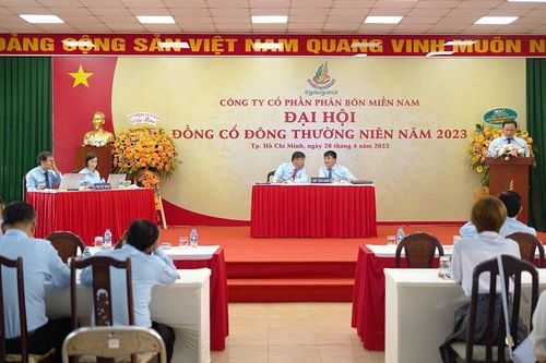 Phân bón miền Nam: Đánh giá nhu cầu thị trường để xác định chiến lược sản phẩm