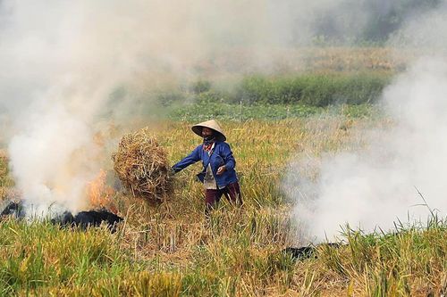 Sớm hoàn thiện kế hoạch quản lý chất lượng môi trường không khí