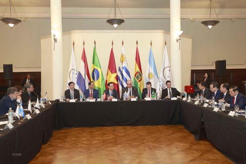 Ký kết FTA giữa Việt Nam - Mercosur nhằm hợp tác xử lý các thách thức toàn cầu