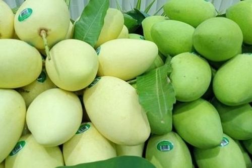 Việt Nam là thị trường cung cấp xoài lớn thứ 3 cho Hàn Quốc