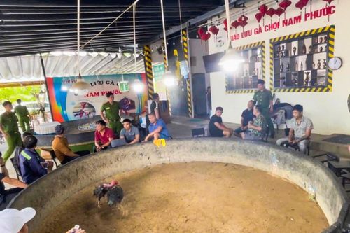 Triệt phá sới bạc qua việc giao lưu đá gà chọi