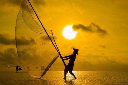 Độc đáo bộ ảnh mưu sinh trên biển lúc bình minh ở Thái Bình