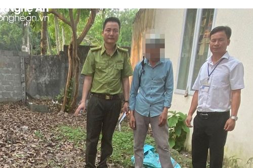 Đối tượng phá rừng trên núi Giăng Màn khai gì?