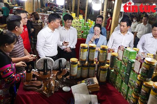 Gần 300 gian hàng tham gia Festival nông sản Hà Nội tại Đông Anh