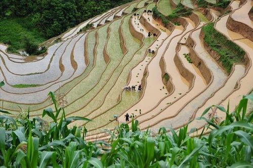 Yên Bái: Khai mạc các hoạt động du lịch 'Mùa nước đổ' năm 2023