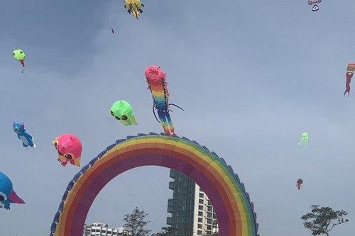 Ngắm hàng trăm cánh diều đa màu sắc, uốn lượn trên bờ biển Vũng Tàu