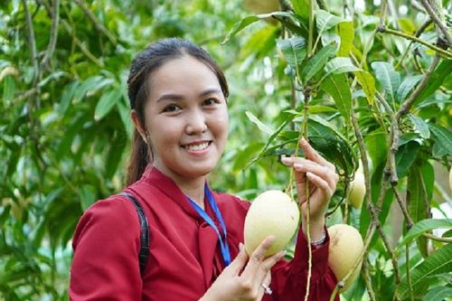 Đồng Tháp khai mạc lễ hội xoài