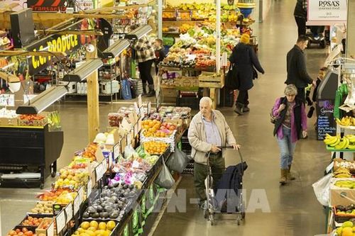 Lãi suất cao khiến kinh tế Canada đánh mất đà tăng trưởng