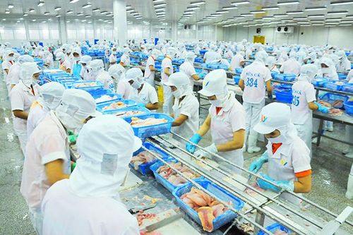48 năm giải phóng - Đất Sen hồng bứt phá vươn lên