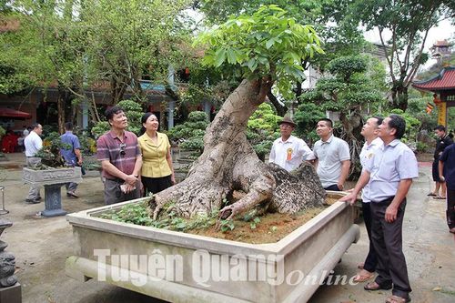 Triển lãm sinh vật cảnh Tuyên Quang lần thứ I