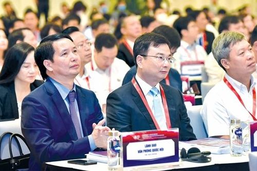 Dẫn dắt, thúc đẩy sự phát triển đúng định hướng