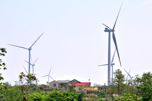 Màu xanh dưới chân đồi Động Tri