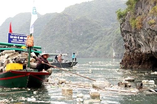Phao xốp ngập tràn trên biển Quảng Ninh