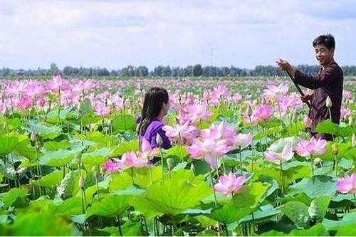 Thăm lại Khu căn cứ cách mạng vùng Đồng Tháp Mười