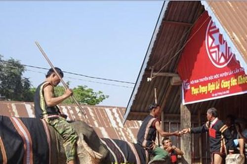 Độc đáo lễ cúng sức khỏe cho voi
