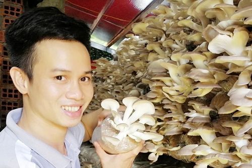 Những tỷ phú nông dân