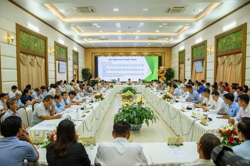 Nâng cao giá trị và phát triển bền vững ngành hàng xoài Đồng Tháp