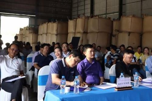 Lần đầu tiên đấu giá cà phê đặc sản tại Việt Nam