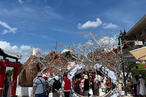 Du khách náo nức check-in ở 'thành phố sương mù'
