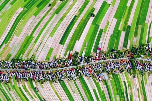 Ngôi làng đặc biệt ở Ba Lan chỉ có duy nhất một đường lớn chạy qua