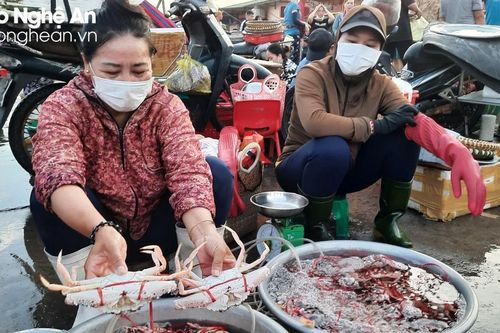 Các chợ hải sản ở Cửa Lò nhộn nhịp đón du khách