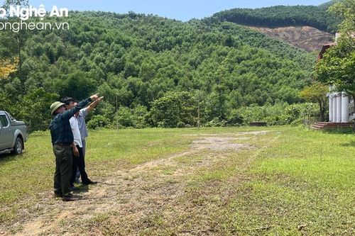 Vùng rừng bị chặt phá ở Thanh Chương thuộc sự quản lý của chủ biệt thự xây dựng trái phép
