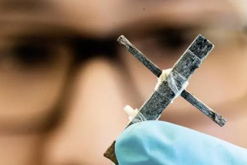 Thụy Điển phát triển thành công transistor bằng gỗ đầu tiên thế giới