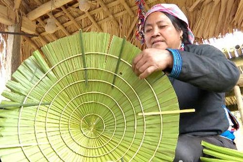 Phụ nữ dân tộc Tày tăng thu nhập với nón lá cọ