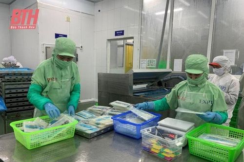 Bảo đảm các điều kiện an toàn vệ sinh thủy sản