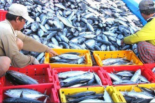 4 tháng đầu năm, sản lượng thủy sản tăng 1,2%
