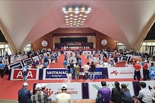 Kỳ thủ Việt Nam lọt vào bán kết môn cờ ốc