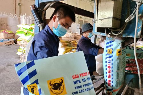 Tiền gửi ngân hàng giảm 63%, hàng tồn kho của Phân bón Bình Điền tăng 9%