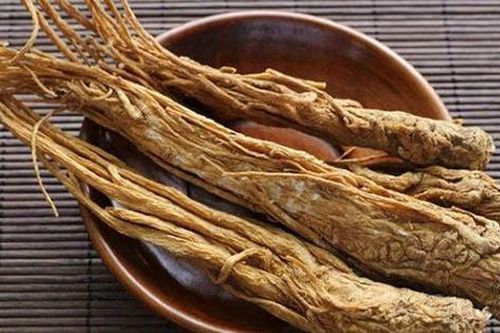 Đương quy - vị thuốc bổ máu