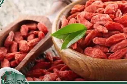 Khám phá tác dụng của Kỷ tử