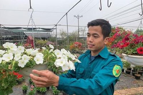 Lung linh sao Thủ đô: Thôn đội trưởng trách nhiệm, làm kinh tế giỏi